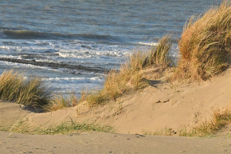 Texeltocht ** Op dit moment 16 deelnemers. Reis is op 26-1-2022, 20.00 uur, bijna volgeboekt! (zie onder Notabene, verderop in de tekst)
