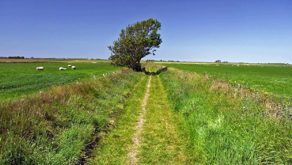 Texeltocht ** (extra reis) Reis gaat door. Op dit moment 13 deelnemers.