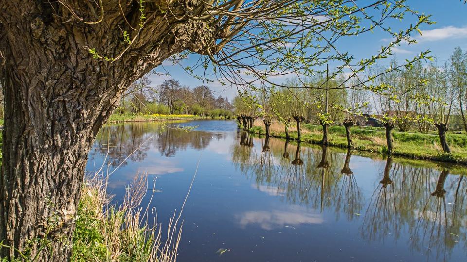 Groene Harttocht */** Reis gaat door. Op dit moment 8 (groep 1) + 7 (groep 2) deelnemers. Er is nog 1 plaats beschikbaar (groep 2) voor een vrouw op een tweepersoonskamer. 