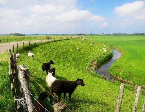 Bloembollentocht **/*** Reis gaat door. Op dit moment 13 deelnemers. Nog 2 kamers (1x eenpersoonskamer + 1x een plaats voor een vrouw op een tweepersoonskamer) beschikbaar.