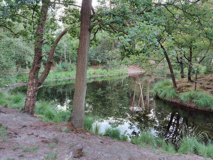 Hoogzomertocht (Baarn e.o.) */** Dagwandeling gaat door. Op dit moment 10 deelnemers.