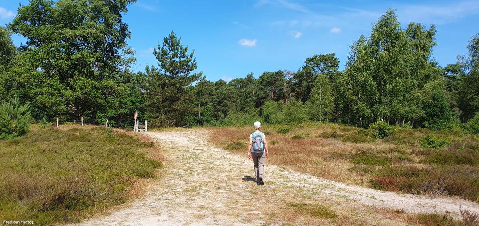 Hoogzomertocht (Baarn e.o.) */** Dagwandeling gaat door. Op dit moment 10 deelnemers.