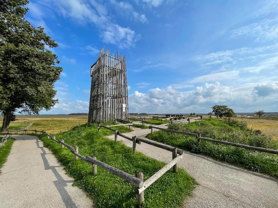 Alternatieve Vierdaagsetocht (Zuidwest-Drenthe (Ruinen e.o)) */** Reis gaat door. Op dit moment 11 deelnemers. Facturen worden verstuurd vanaf 26-4-2024.