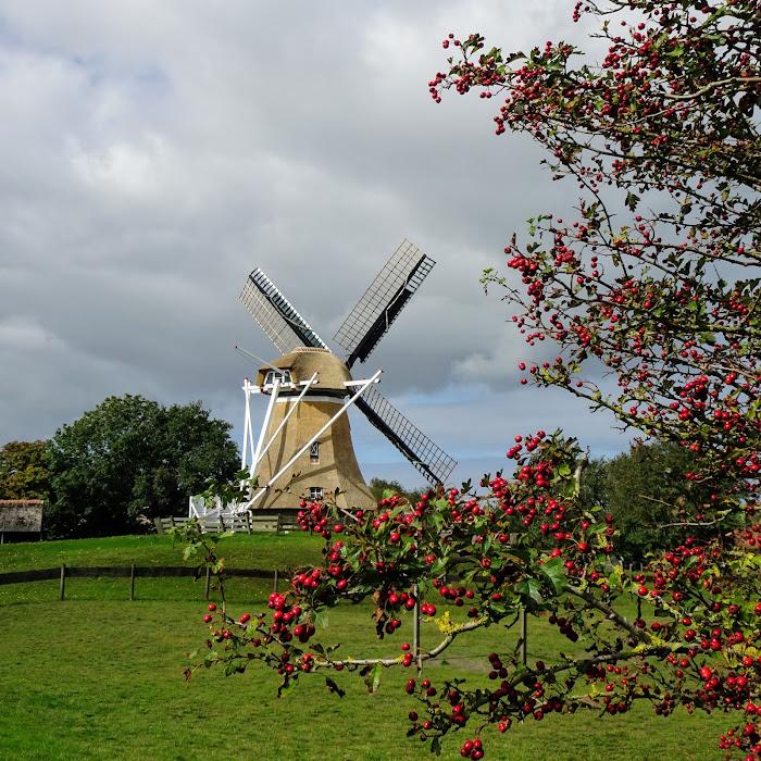 Amelandtocht **/*** Reis gaat door. Op dit moment 11 deelnemers. Facturen worden vanaf 15-4-2024 verstuurd.