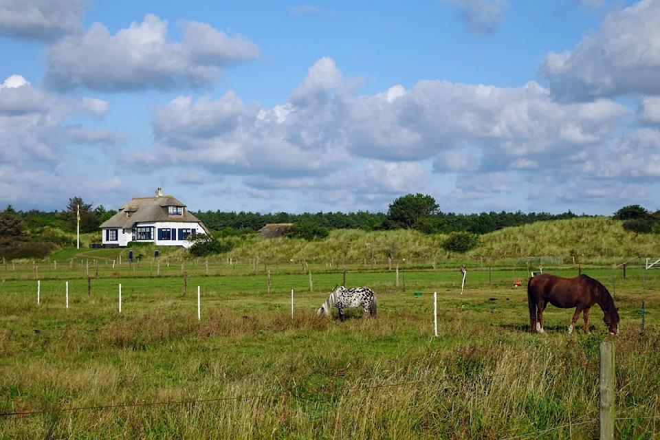 Amelandtocht **/*** Reis gaat door. Op dit moment 11 deelnemers. Facturen worden vanaf 15-4-2024 verstuurd.