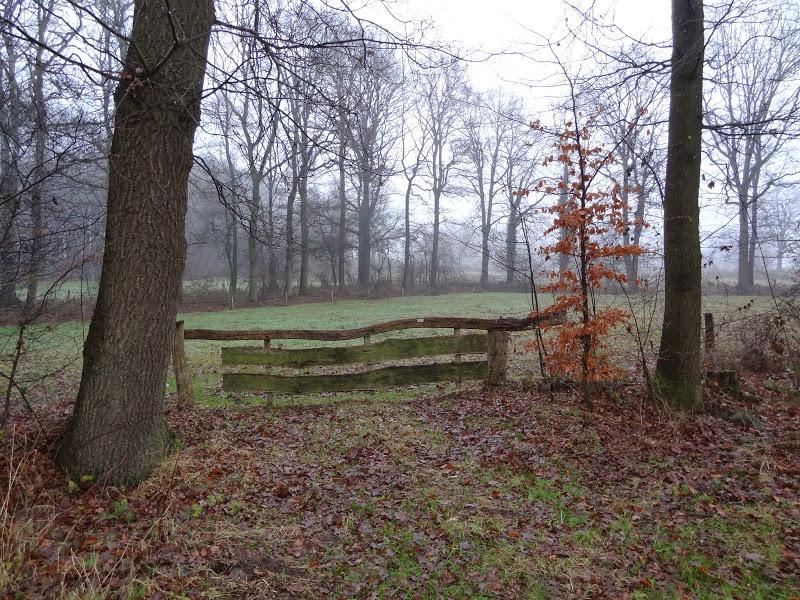 Oud en Nieuwtocht ** Op dit moment 6 deelnemers.