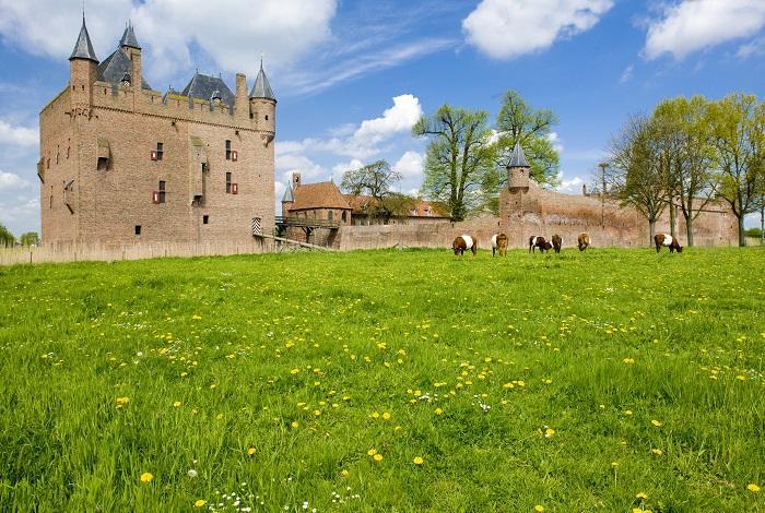 Overbetuwetocht (Bloesemtocht) * Reis gaat door. Op dit moment 11 deelnemers. 