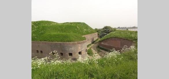 Overbetuwetocht (Bloesemtocht) * Reis gaat door. Op dit moment 11 deelnemers. 