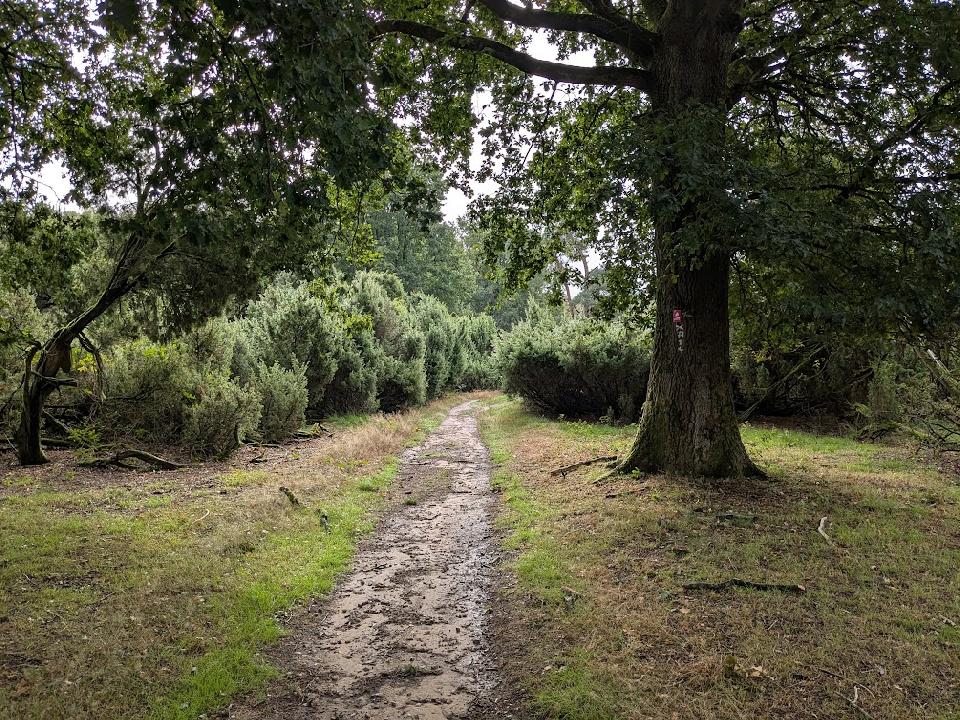 Hohe Marktocht (D) **/***