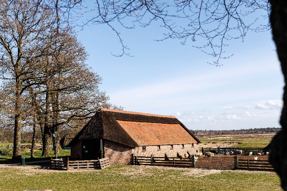 Oud en Nieuwtocht (Ede e.o.) **/*** Op dit moment 6 deelnemers.