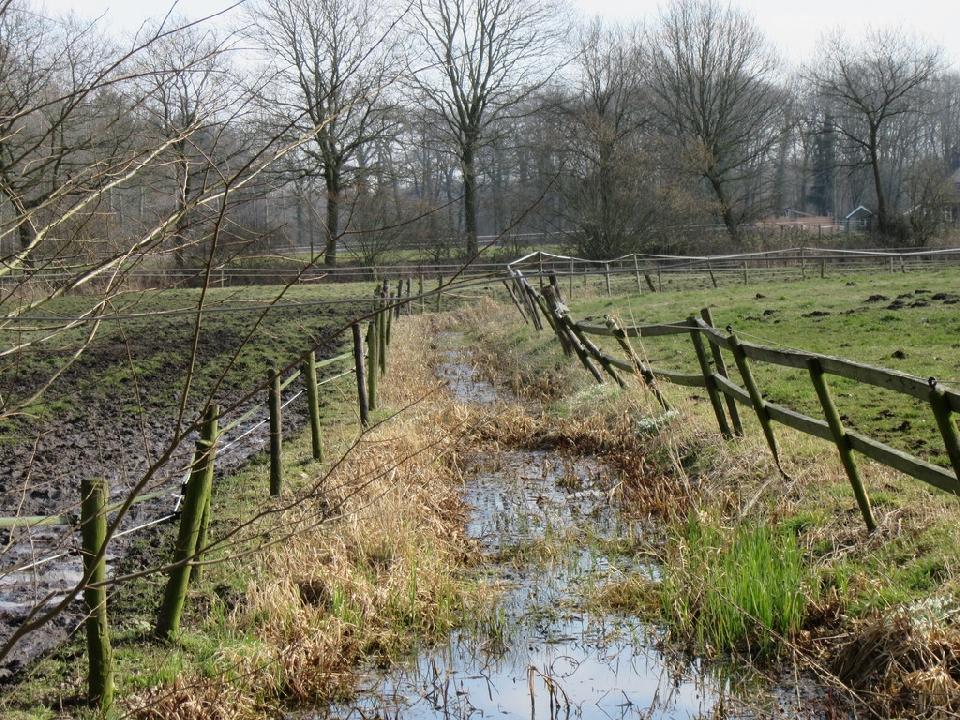 Landgoederentocht * Op dit moment 3 deelnemers.